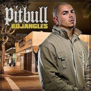 pitbull-bojangles.jpg