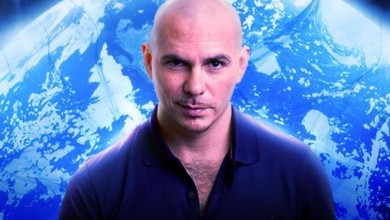 pitbull-meltdown-sirkenayo.jpg