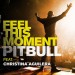 pitbull-feelthismoment